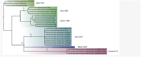 Figure 1 From Phylogenetic Analysis Of Guinea 2014 EBOV Ebolavirus