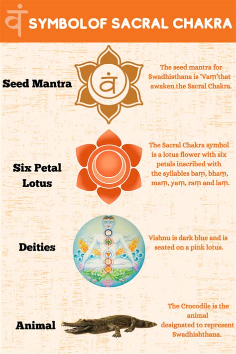 Il Chakra Sacrale Significato Funzione E Posizione Siddhi Yoga