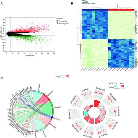 Go And Kegg Analysis For Identified Degs Degs Between Endometriosis