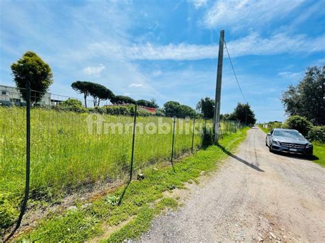 Terreno Edificabile Via Dei Bonsai Anzio Rif Immobiliare It