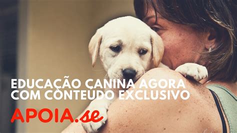 Novidade P Gina Para Comunidade Apoiadora Youtube