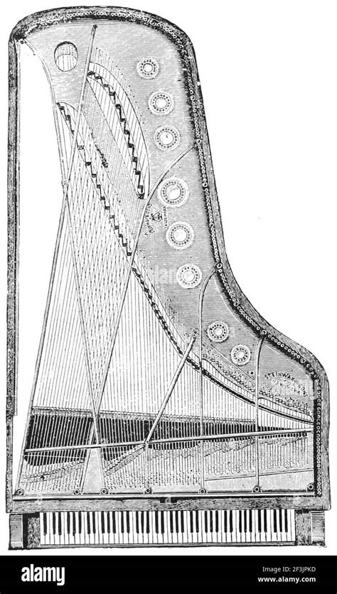 Piano de cola Steinway con la disposición de las cuerdas en forma de