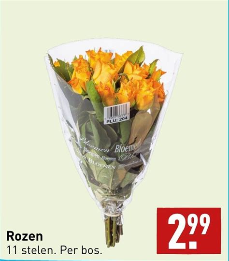 Rozen Stelen Aanbieding Bij Aldi