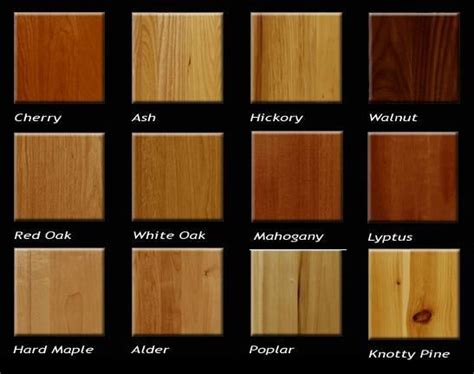 A Guide To Different Types Of Woods With Images We Mostly Deal In