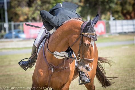 Adelaide Wc Sj 2438 Nz Horse And Pony