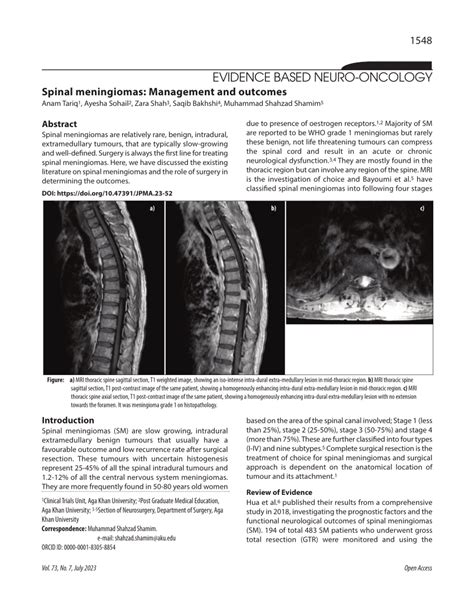 PDF Spinal Meningiomas Management And Outcomes