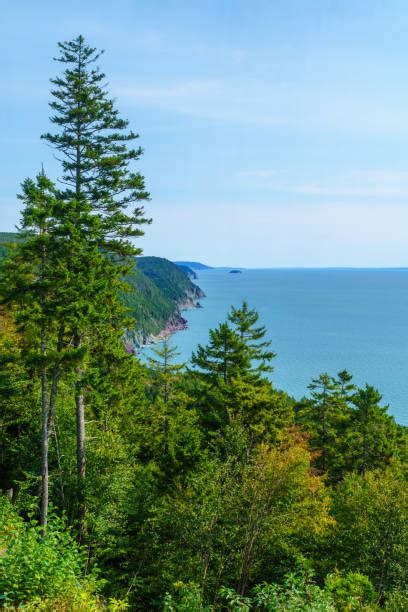 220 Fundy Trail Stock Photos Pictures And Royalty Free Images Istock