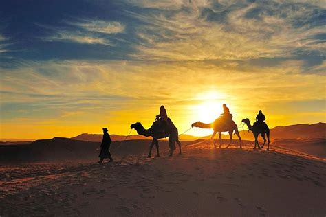 Tripadvisor Sunset Camel Ride In Sahara Merzouga Desert Erg Chebbi