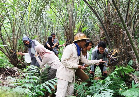 Wisata Taman Buah Mekarsari Bogor Cocok Untuk Wisata Edukasi