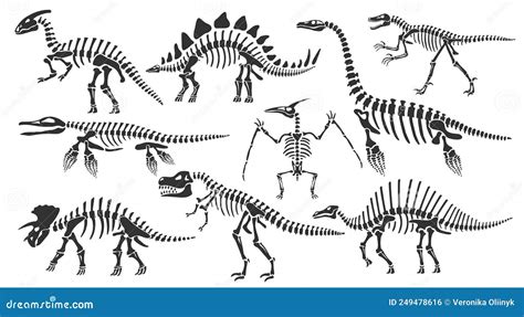 Tyrannosaurus Rex Skeleton Silhouette On Isolated White Background