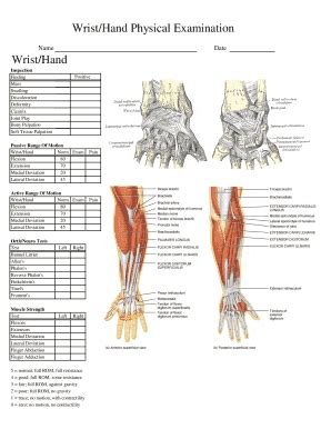 Wrist Hand Physical Examination Fill And Sign Printable Template Online