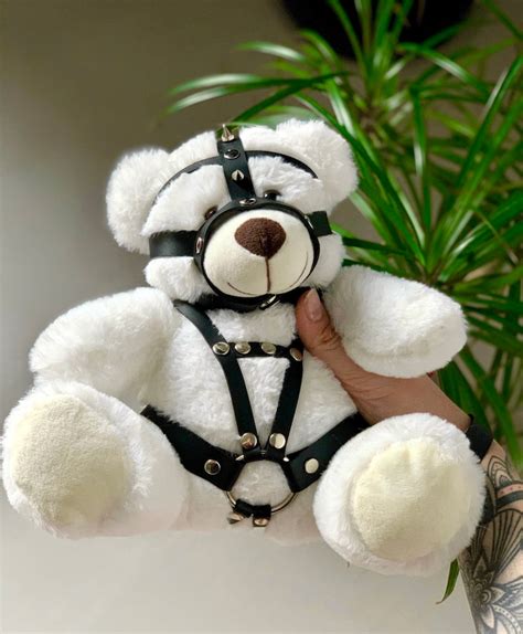 Kinky Fetish Plush Teddy Bear Bdsm Ts Ddlg T Etsy