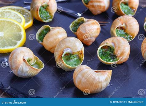 French Snails With Herbs Butter Garlic Stock Photo Image Of Dish