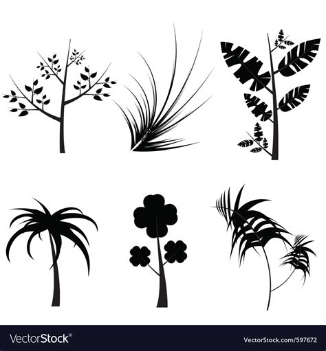 Plants silhouette Royalty Free Vector Image - VectorStock