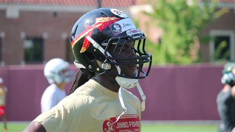 The Steadfast Seminoles A Look At Fsu Footballs Most Loyal Players