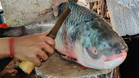 Amazing Giant Catla Fish Cutting Skills In Bd Fish Market Big Katla