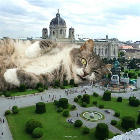 91 Surreal Photo Edits With Giant Cats By Matt McCarthy New Pics