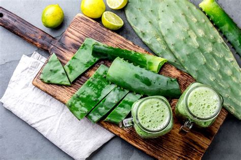 8 beneficios del nopal para qué sirve y cómo consumirlo Tua Saúde