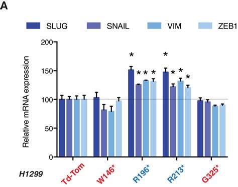 Figures And Data In TP53 Exon 6 Truncating Mutations Produce Separation