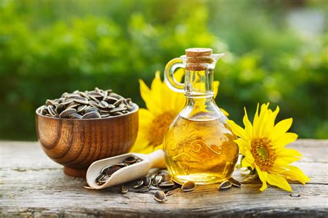 Huile De Tournesol Utilisations Bienfaits Et Contre Indications