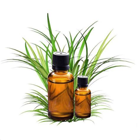 Citronella Essential Oil Jindeal Inc