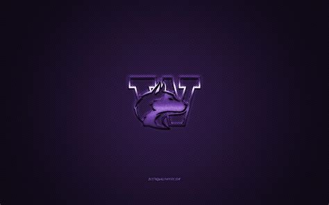 Washington Huskies Wallpapers - Top Free Washington Huskies Backgrounds