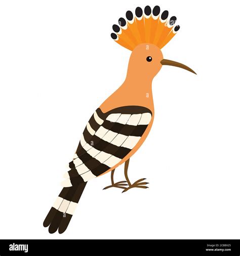 Hoopoe Bird Art Hi Res Stock Photography And Images Alamy