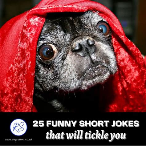 25 Funny Short Jokes That Will Tickle You Roy Sutton