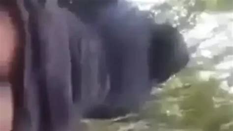 Algeria Porn Videos Xhamster