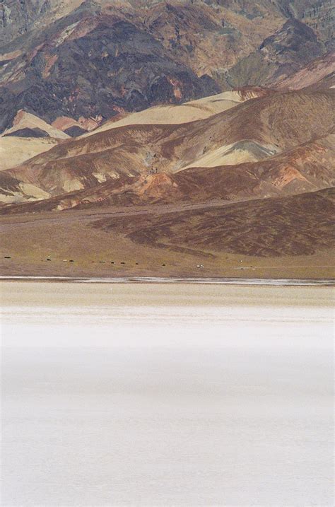 Death Valley Superbloom