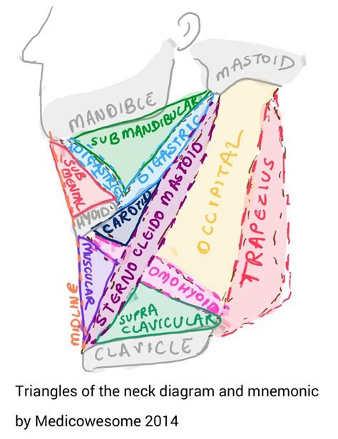 Medicowesome Hello This Post Focuses Only On Boundaries Of Various