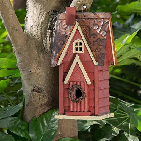 10 Best Bird Houses For Sale Top 10 Picks Hummingbirds Plus