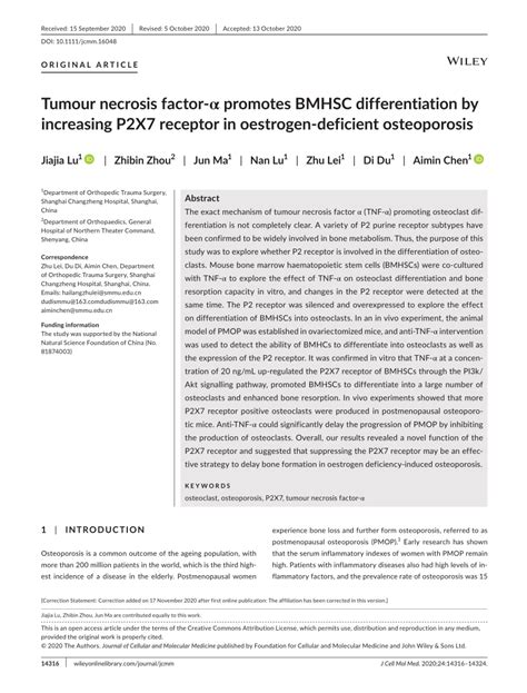 Pdf Tumour Necrosis Factor Promotes Bmhsc Differentiation By