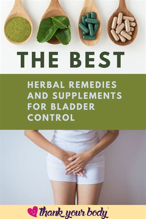 The Best Herbal Remedies And Supplements For Bladder Control Bladder