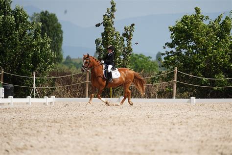 DSC05926 FEDERACION NAVARRA DE HIPICA Flickr