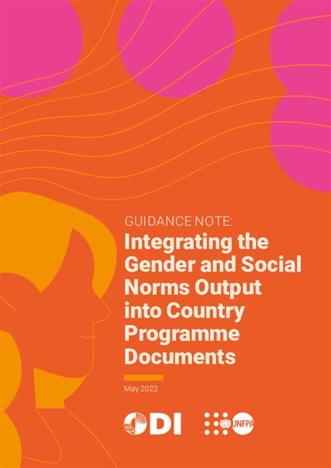 Guidance Note On Integrating The Gender And Social Norms Output Into Country Programme Documents