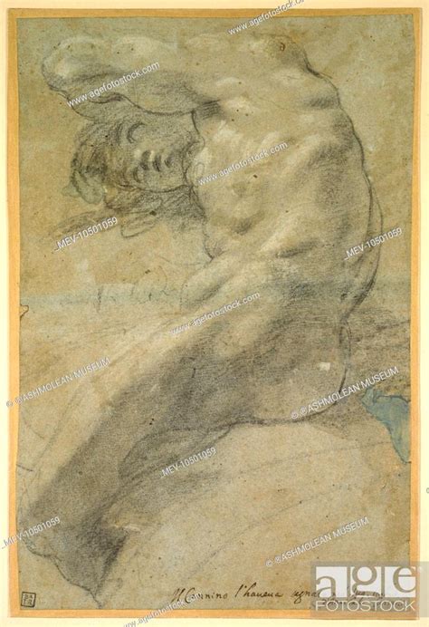 Study Of A Nude Man Annibale Carracci Stock Photo Picture And Rights