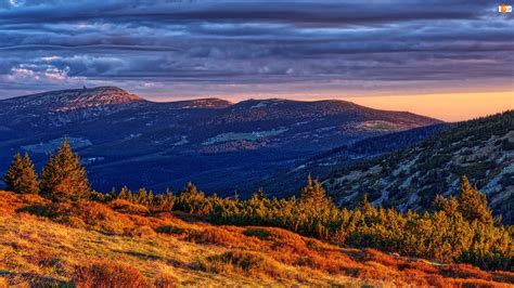 Karkonosze G Ry Drzewa Polska Chmury Ro Liny