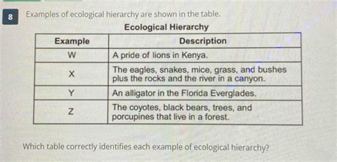 Solved 8 Examples Of Ecological Hierarchy Are Shown In The Table Ecological Hierarchy Which Ta