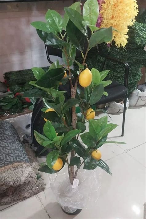 Plastic Artificial Lemon Potted Plant Feet At Rs In Indore Id