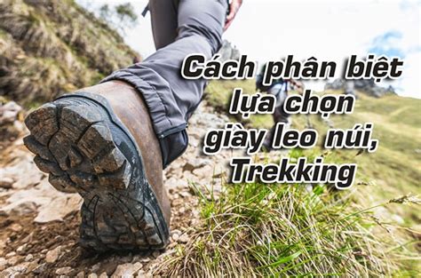 Cách Phân Biệt Lựa Chọn Giày Leo Núi Và Trekking Campingviet vn