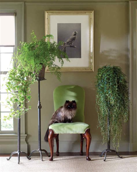 Martha's Home: Decorating with Houseplants | Martha Stewart