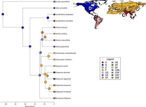 Ancestral Range Reconstruction From Biogeobears For Diapensiaceae