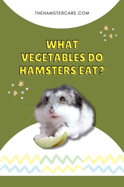 What Vegetables Can Hamsters Eat Healthy Food For Hamsters Artofit