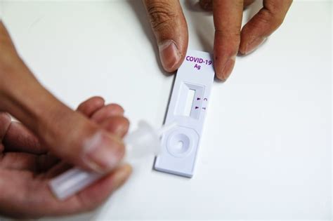 How to get free at-home Covid tests and check expiration dates