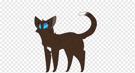 Bigodes Gato Trilha Do Sol Guerreiros Erin Hunter Gato Png PNGWing