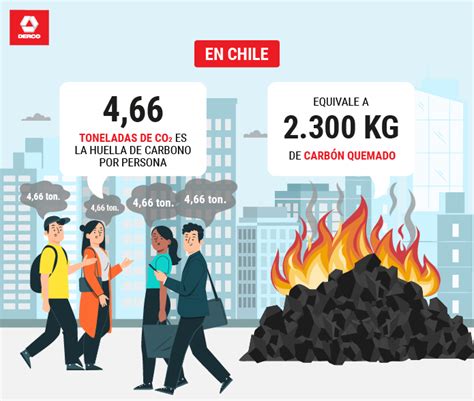 ¿cómo Reducir La Huella De Carbono En Tu Casa