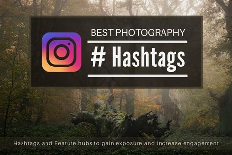 Nature Photography Hashtags and Landscape Feature Hubs