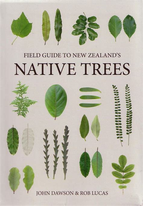 Field Guide to New Zealand's Native Trees - Nokomis