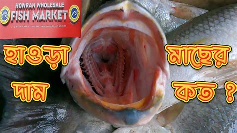 হাওড়া মাছের বাজার Indian Biggest Fish Market পশ্চিমবঙ্গের মাছের